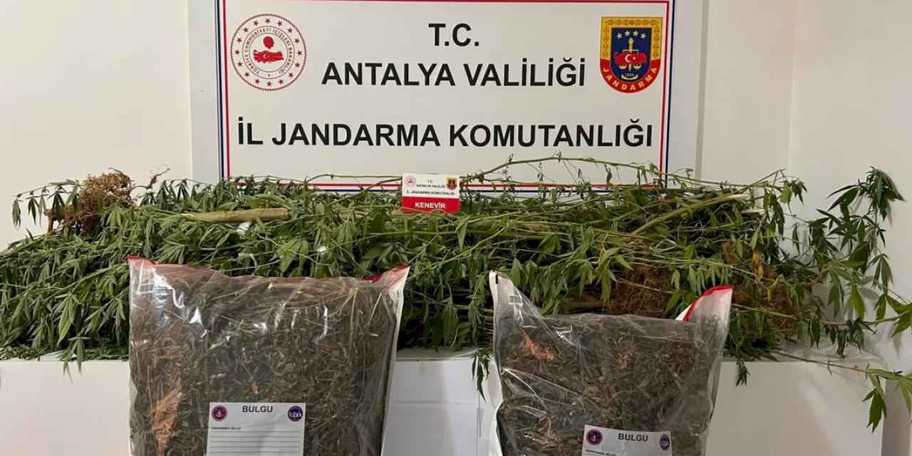 Alanya'da uyuşturucuya geçit yok!