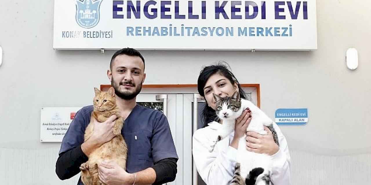 Konak'ın engelleri aşan Kedi Evi'nden sahiplenme çağrısı