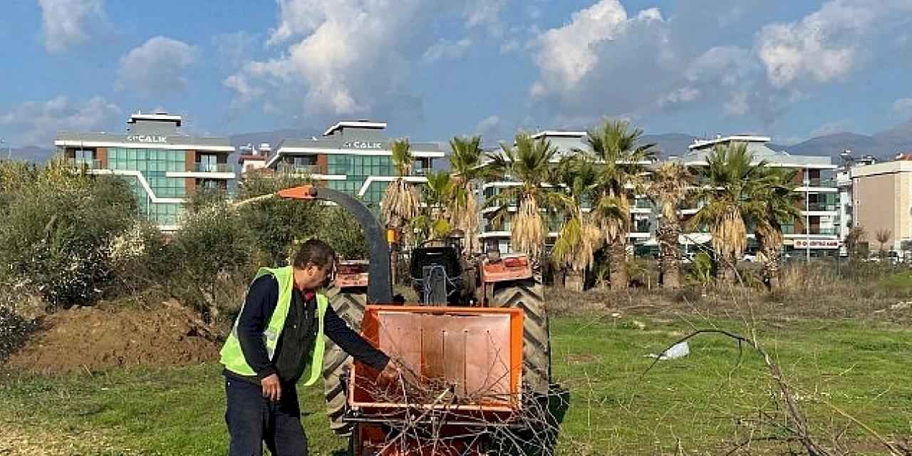 Budanan ağaçlar ihtiyaç sahiplerine yakacak oluyor