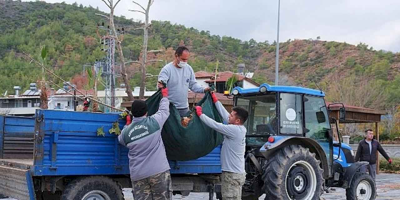 Bahçe atığı toplama programında pilot bölge: Arslanbucak