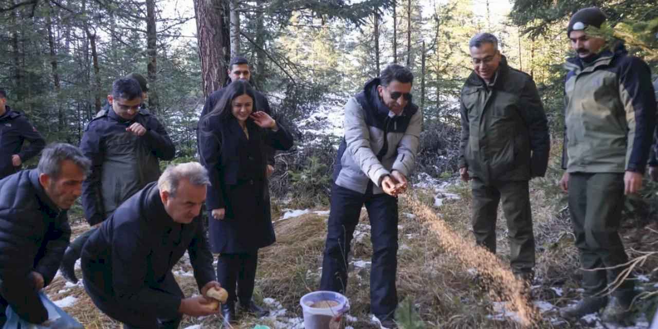 Bilecik'te yaban hayvanlarına Vali şefkati