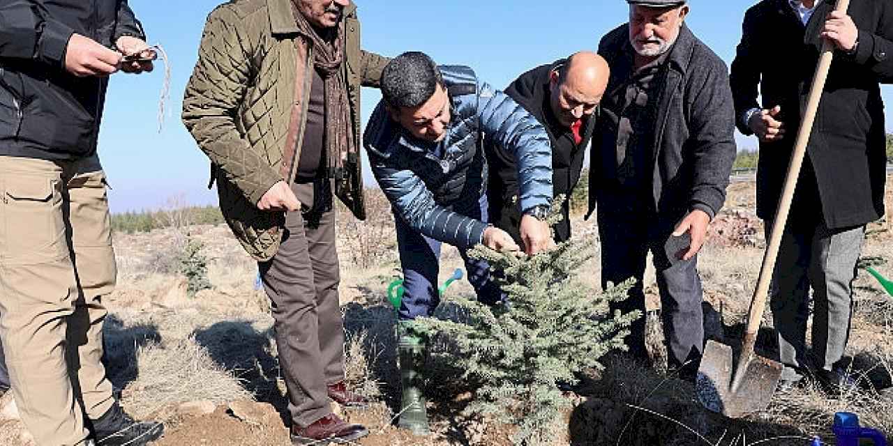 Nevşehir'de Yeni Doğan ve Ölen Kişiler İçin Fidan Dikildi