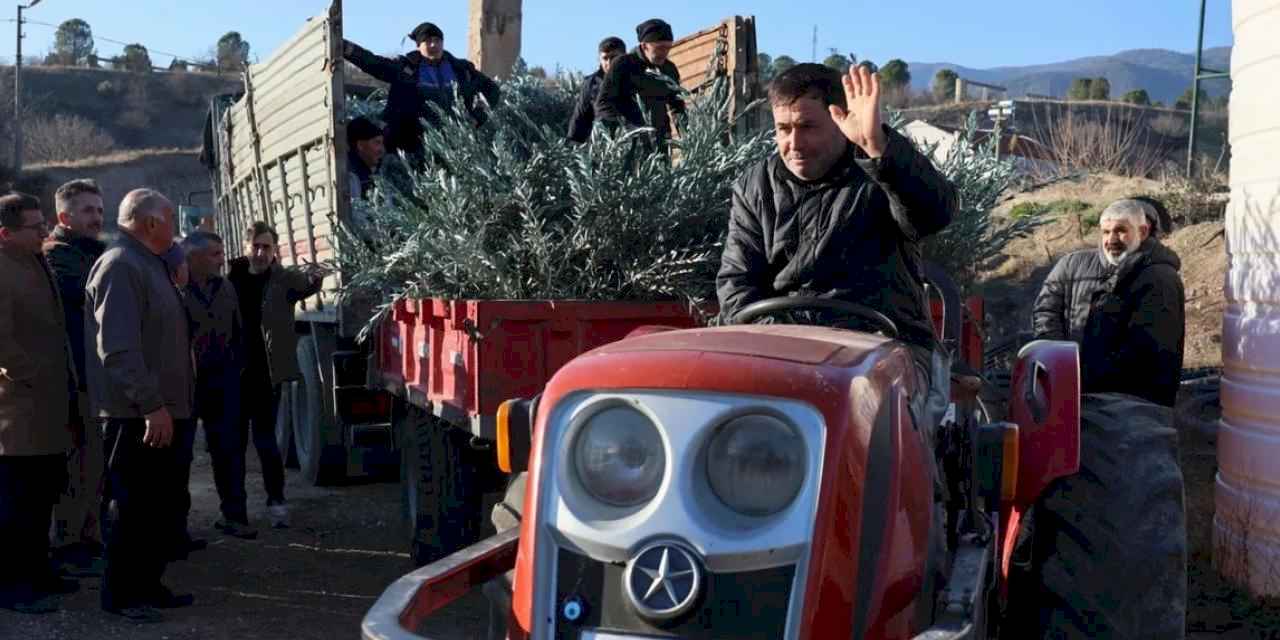 Eskişehir'de zeytincilik yaygınlaştırılacak... 17 bin Gemlik zeytin fidanı dağıtıldı