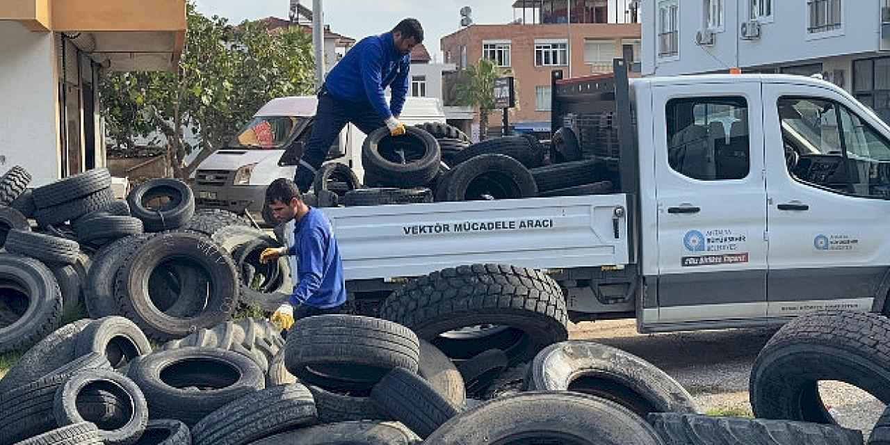 Sineklerin üreme alanı lastikler toplanıyor