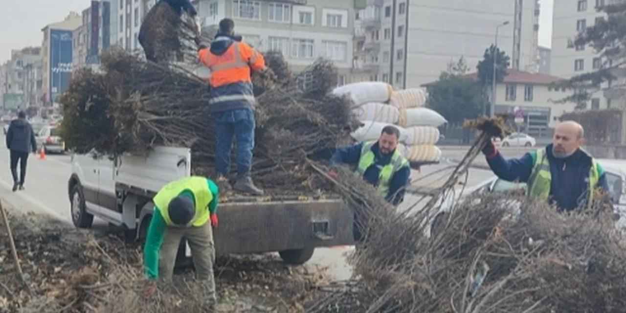 Kayseri Büyükşehir 'yeşil Kayseri' için çalışıyor