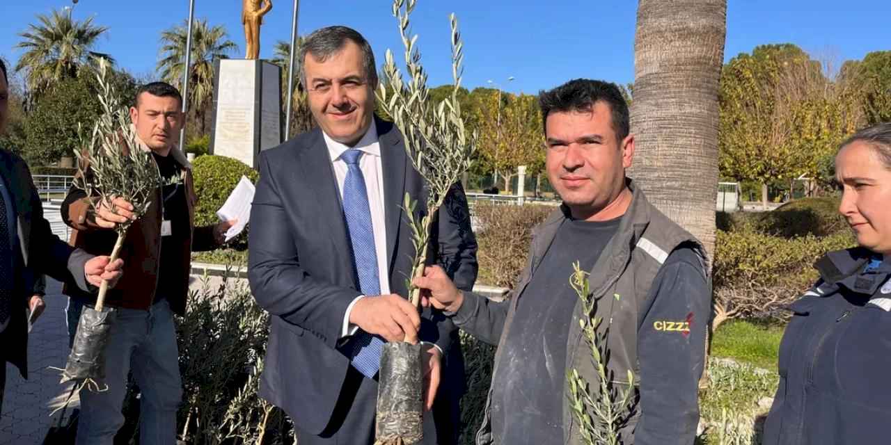 Muğla Dalaman'da zeytin ve ceviz fidanları dağıtıldı