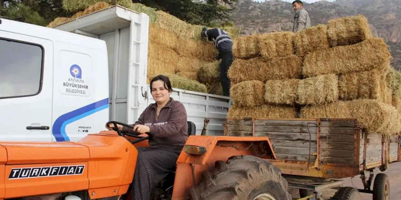 Antalya Elmalı Yuva’da saman desteği afetzedelerin yüzünü güldürdü