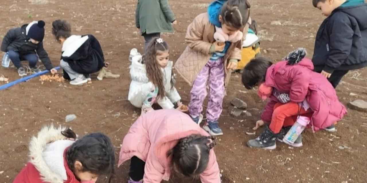 Diyarbakırlı çocuklar meşe tohumlarını toprakla buluşturdu